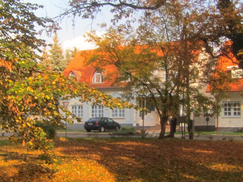 Hotel Csigaház panzió Gyula Habitación foto