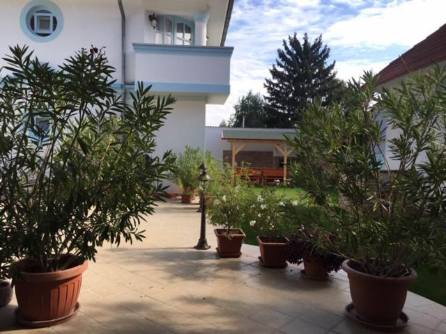Hotel Csigaház panzió Gyula Exterior foto